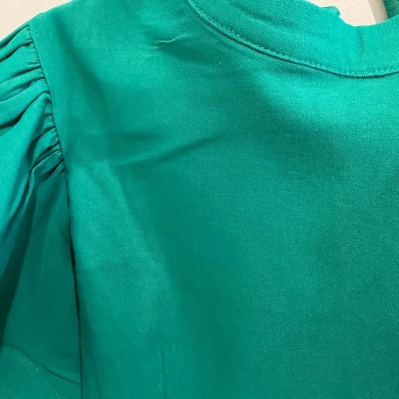 Green Designer Puff Sleeve Top - Picture 8 of 10
